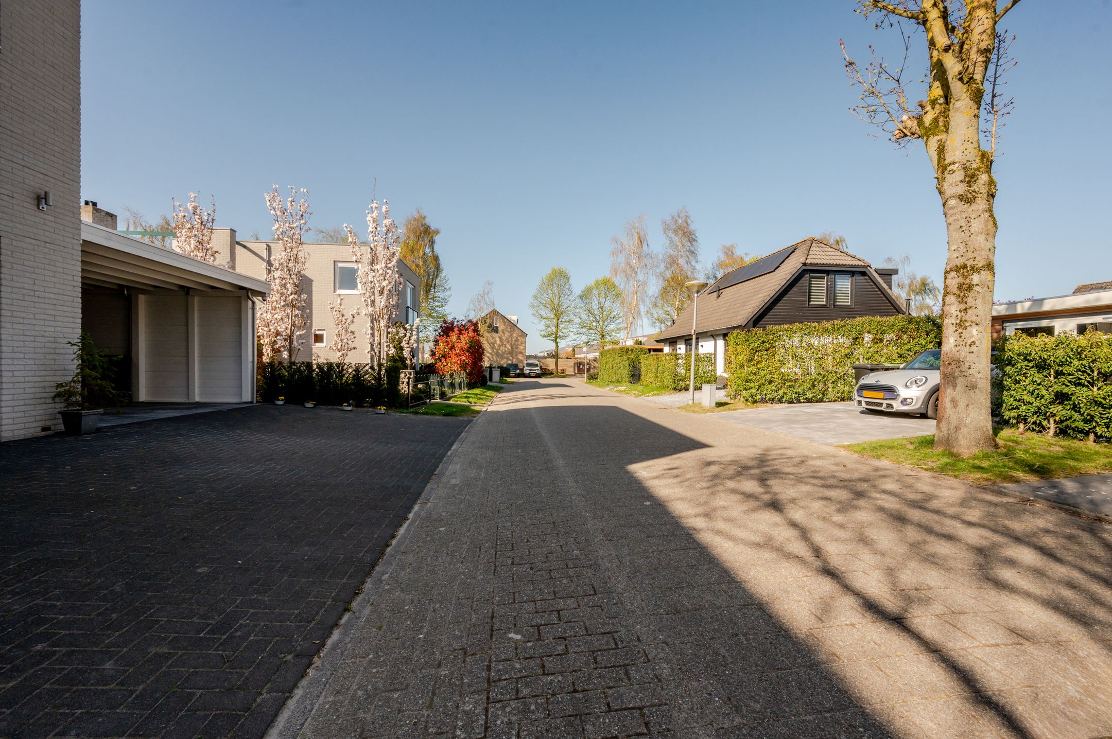 Photo 84 of Cobrastraat 1