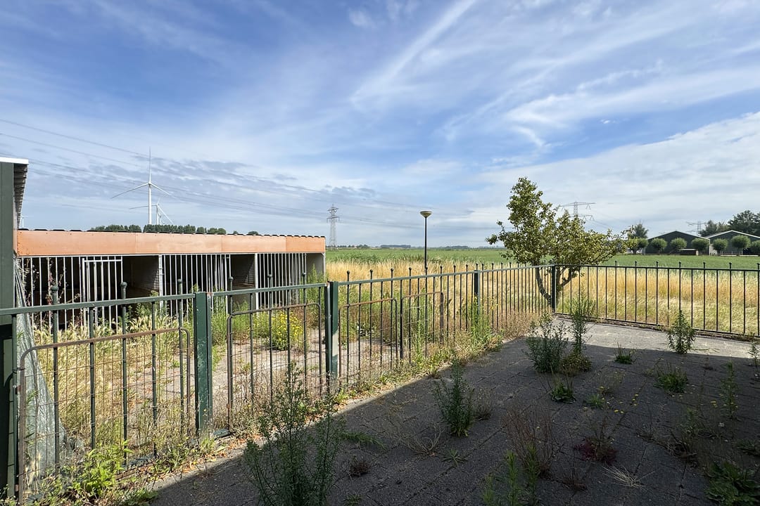 Foto 61 van Ewoudsdam 20