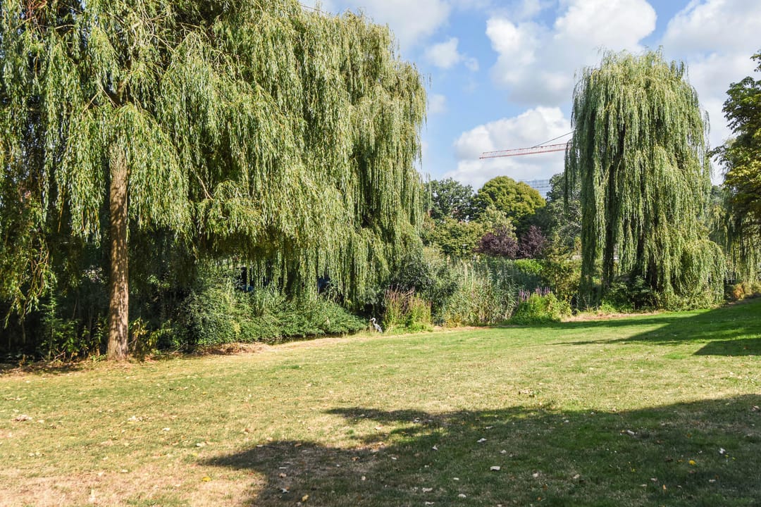 Photo 26 of Dr H. Colijnlaan 15