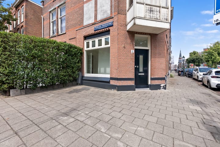 Foto 4 van Professor Kaiserstraat 1