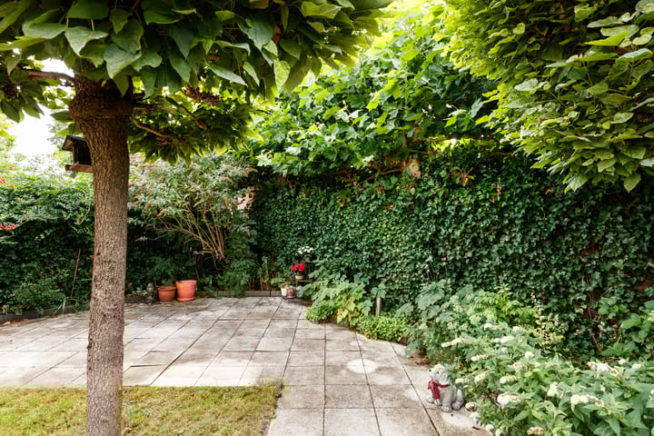 Foto 23 van Zonzijde 19