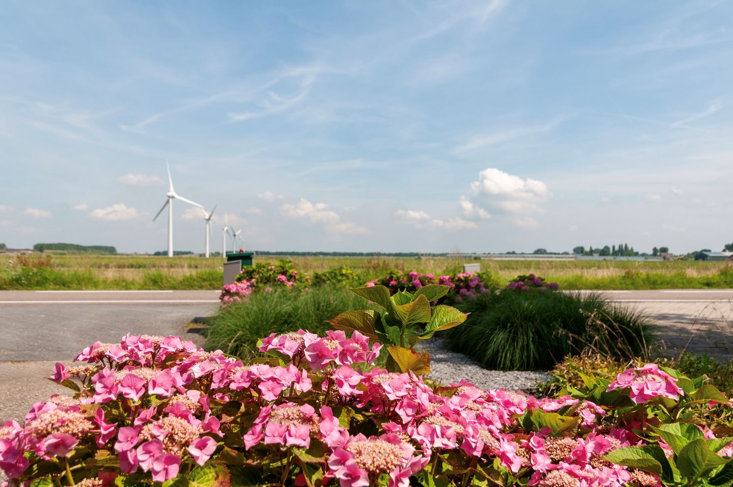 Foto 25 van Lisserweg 50