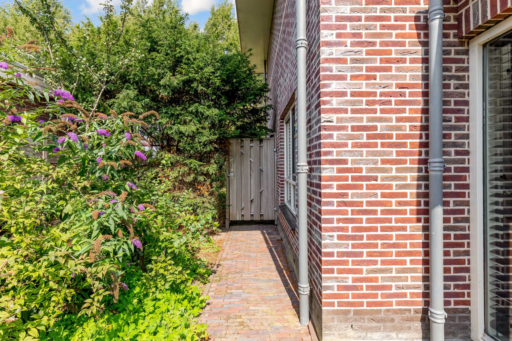 Photo 81 of Zadkinestraat 128