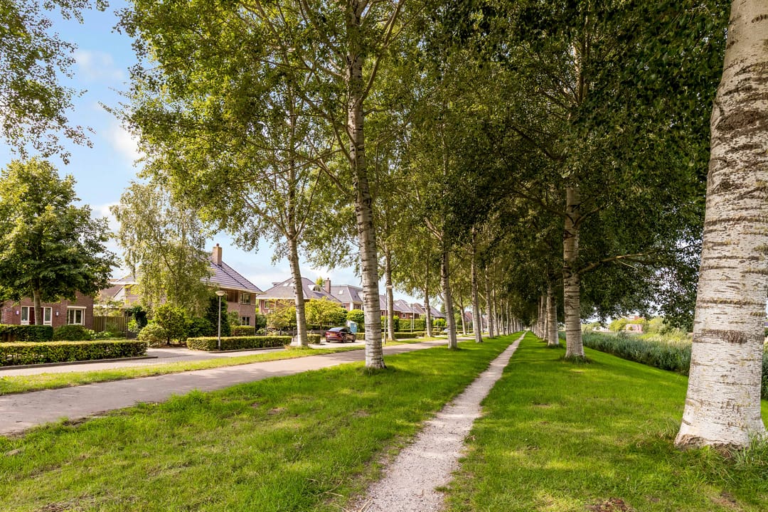 Photo 97 of Zadkinestraat 128