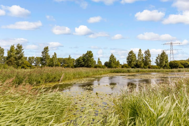 Foto 98 van Zadkinestraat 128