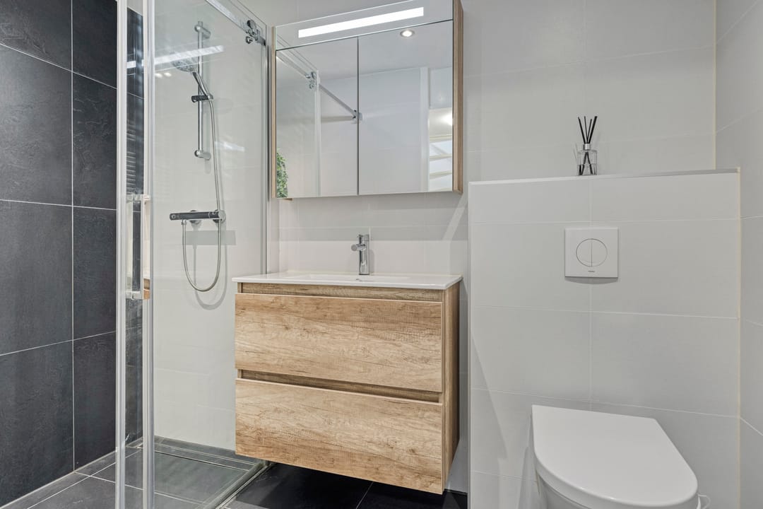 Photo 17 of Vermeerplantsoen 154