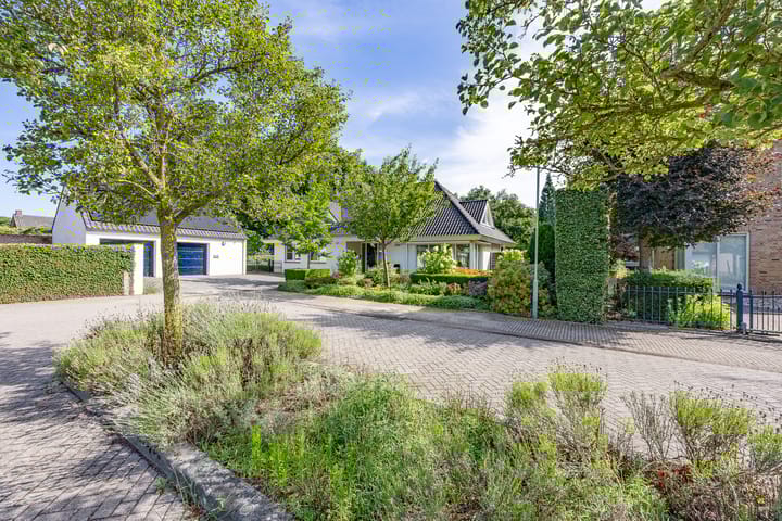 Foto 55 van Zandsehof 5