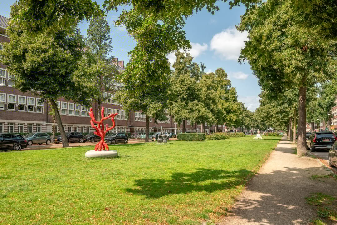 Foto 38 van Anthonie van Dijckstraat 13-3