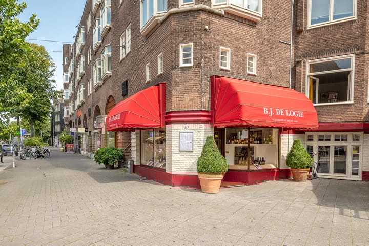 Foto 43 van Anthonie van Dijckstraat 13-3