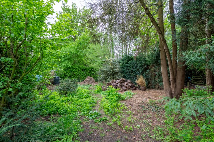 Foto 44 van Op de Vey 54