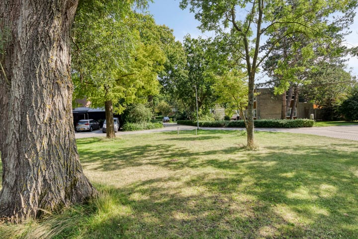 Foto 63 van Joseph Bech-Nes 14