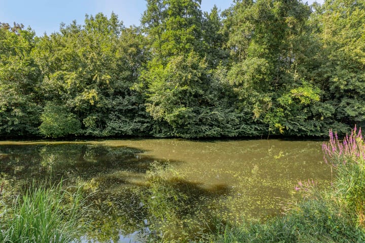 Foto 65 van Joseph Bech-Nes 14