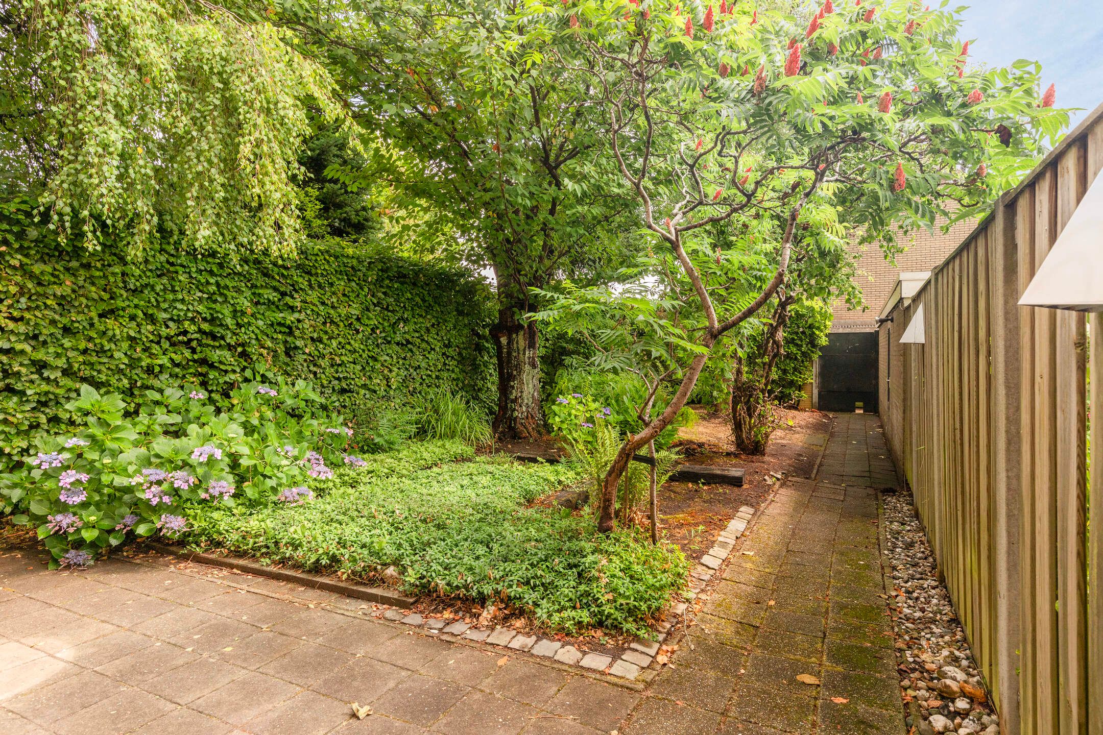 Foto 18 van Haverdijk 58