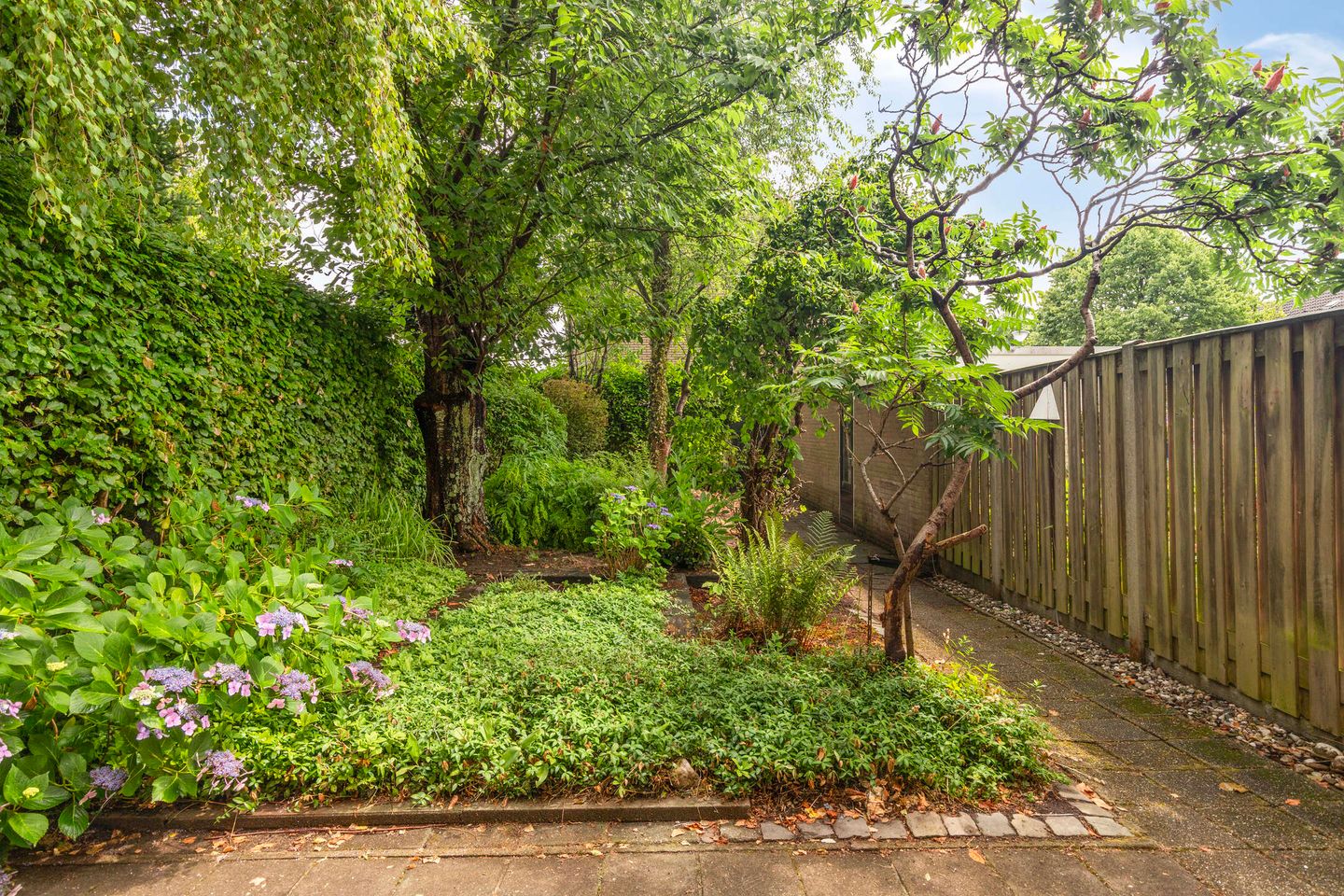 Foto 19 van Haverdijk 58