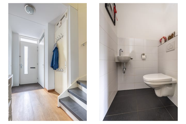 Foto 9 van Witte Kwikstaart 21