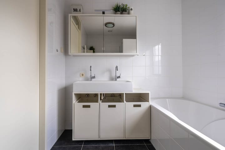 Foto 14 van Witte Kwikstaart 21