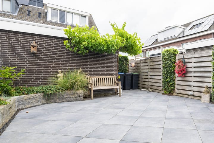 Foto 21 van Witte Kwikstaart 21