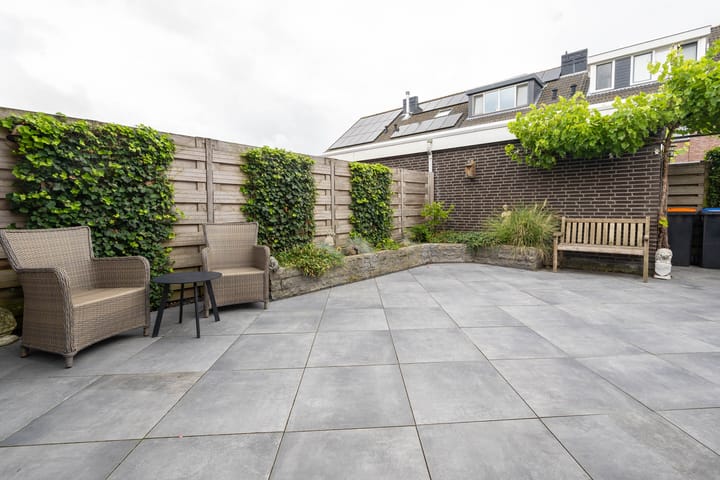 Foto 22 van Witte Kwikstaart 21