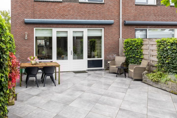 Foto 24 van Witte Kwikstaart 21