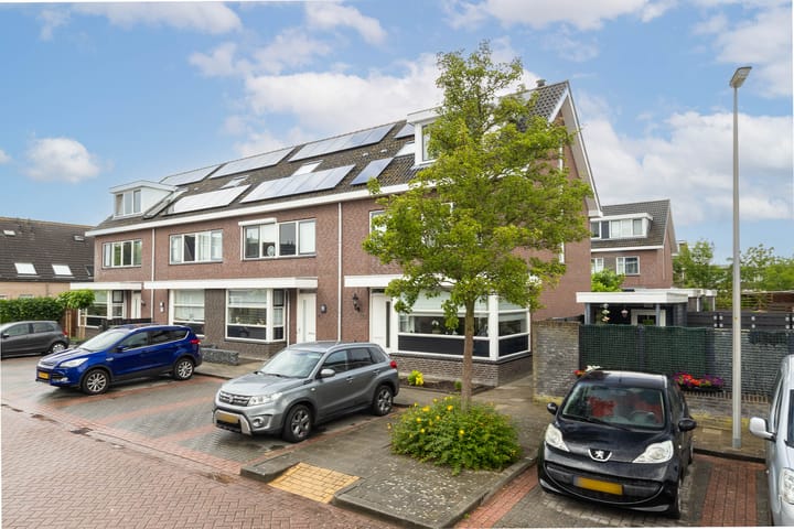 Foto 26 van Witte Kwikstaart 21