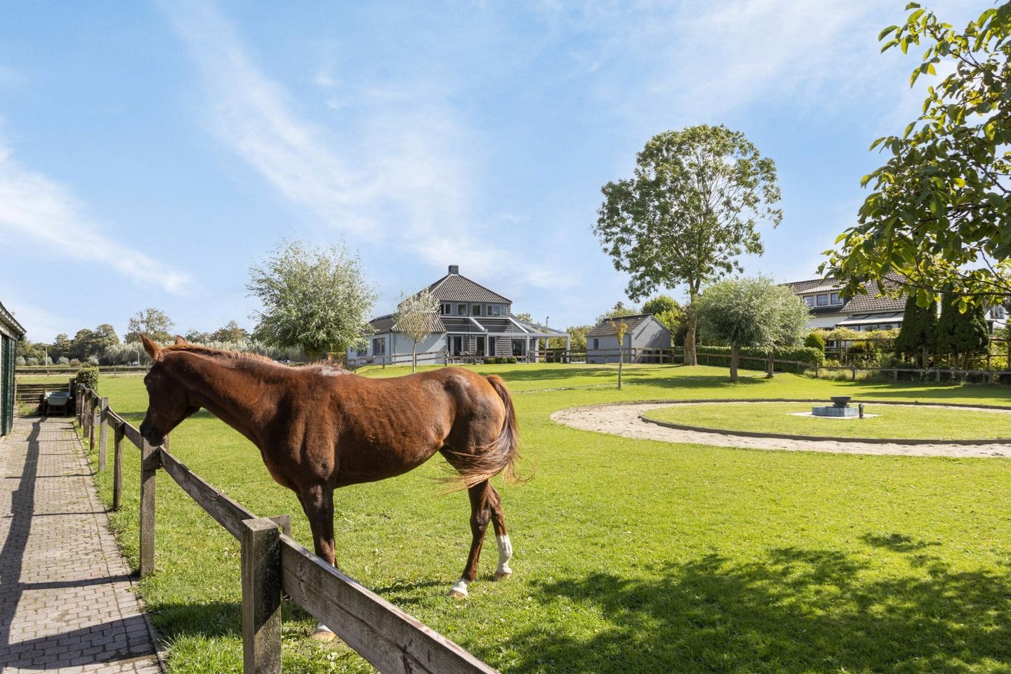 Foto 40 van Pasdam 17