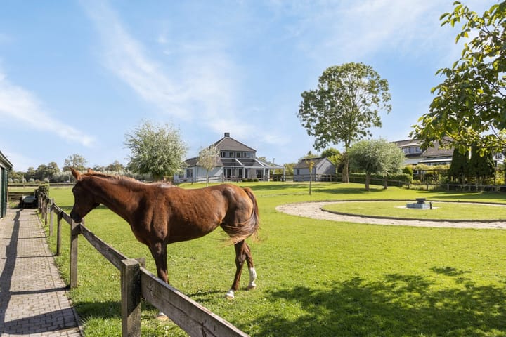 Foto 40 van Pasdam 17