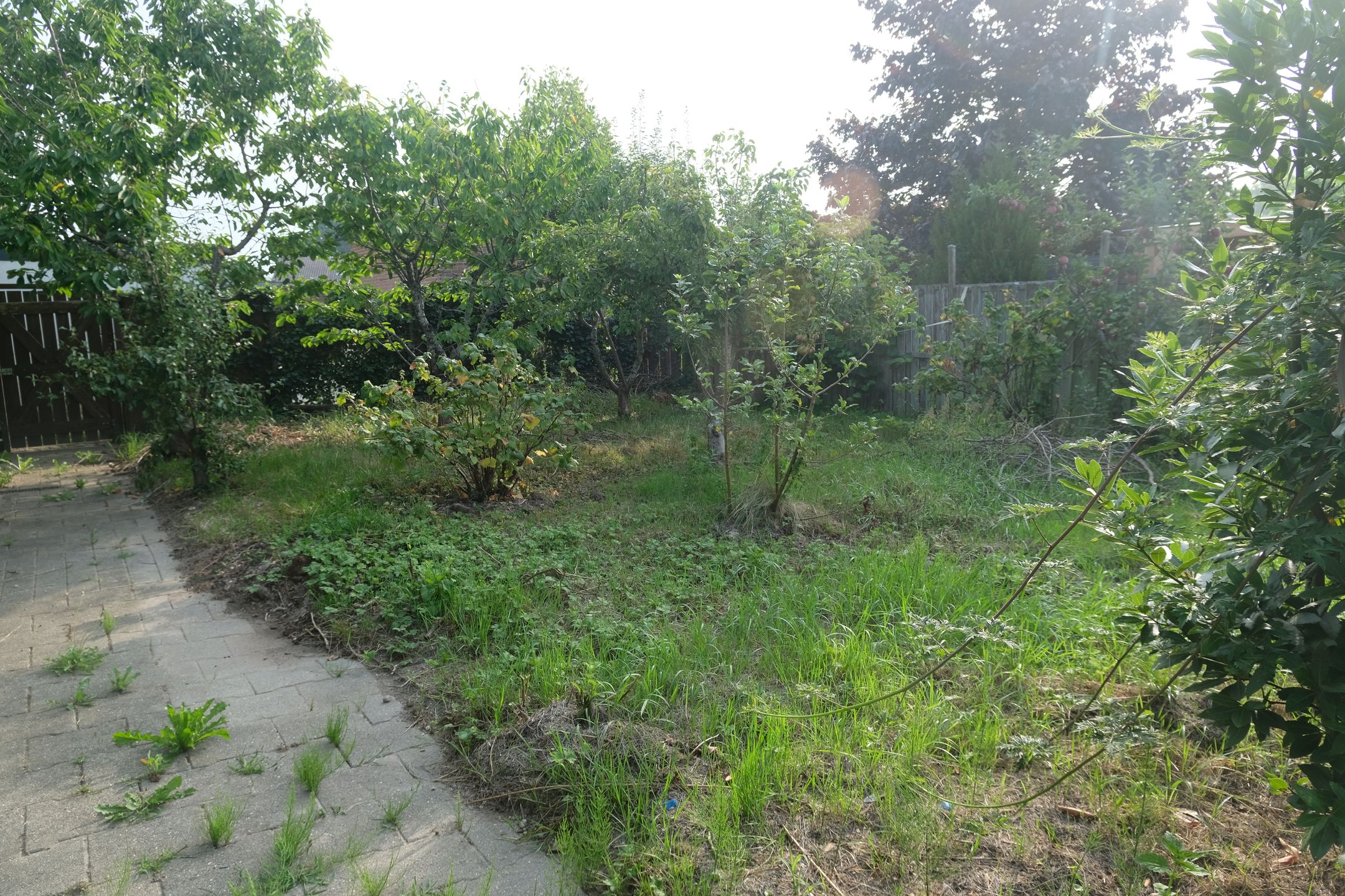 Foto 12 van Burgemeester J.W. Hondelinkstraat 14