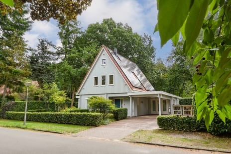 undefined main image