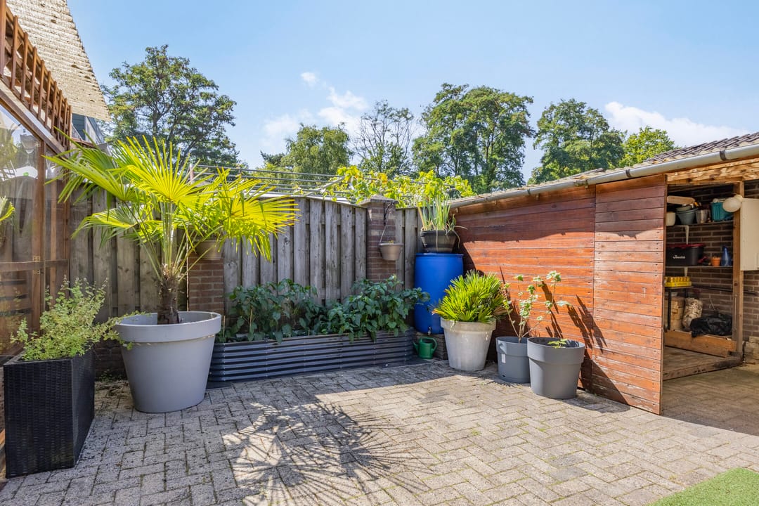 Foto 38 van Overijsselplantsoen 18