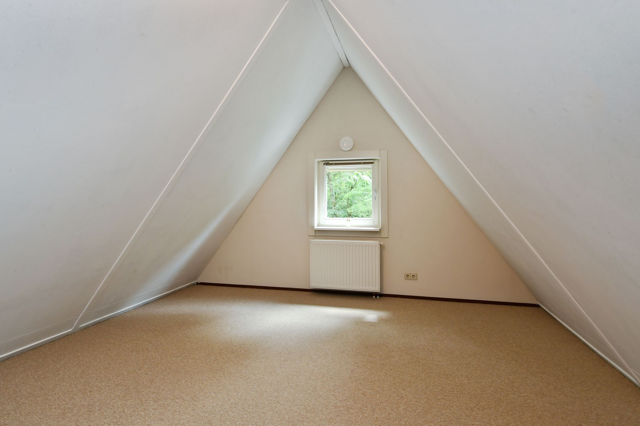 Foto 27 van Hazenloop 29