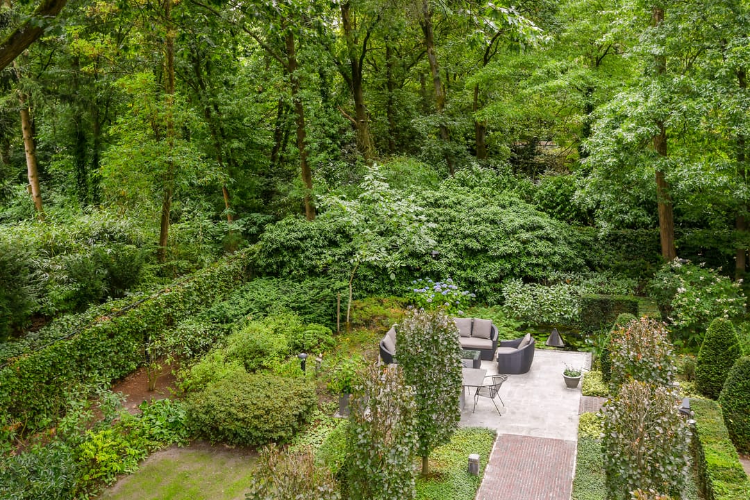 Foto 28 van Hazenloop 29