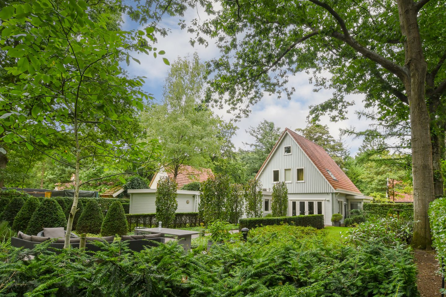 Foto 35 van Hazenloop 29