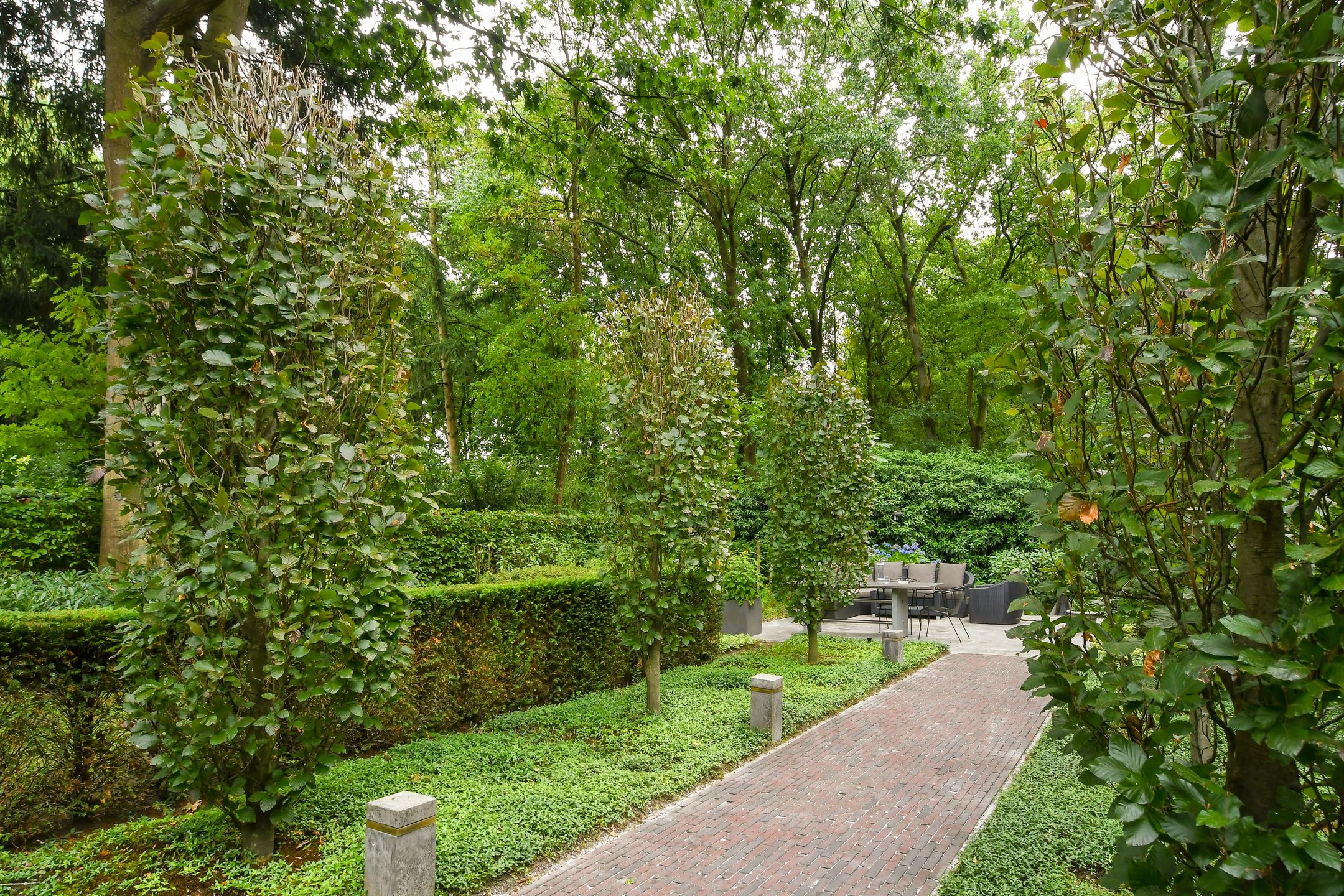 Foto 30 van Hazenloop 29