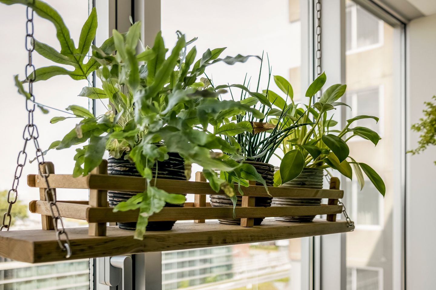 Foto 5 van Bos en Lommerplantsoen 99-E