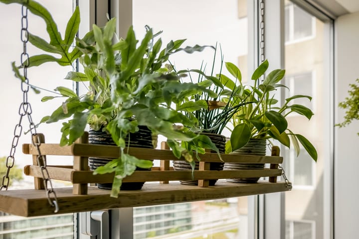 Foto 5 van Bos en Lommerplantsoen 99-E