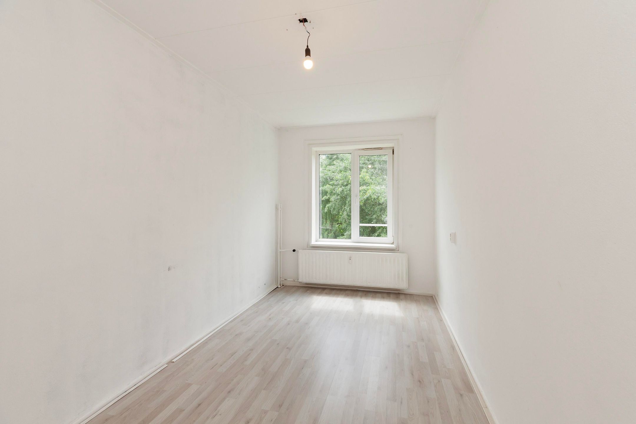 Foto 15 van Langeplaat 265