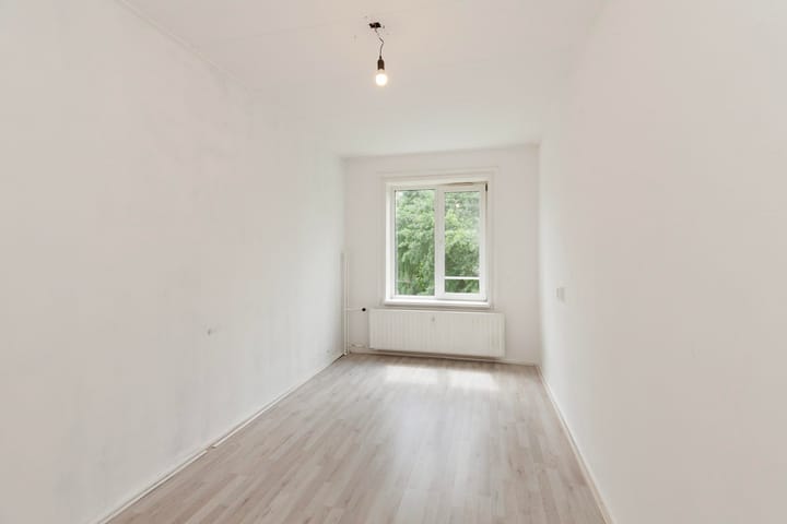 Foto 15 van Langeplaat 265