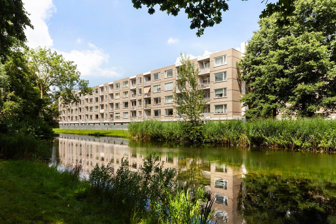 Foto 22 van Langeplaat 265