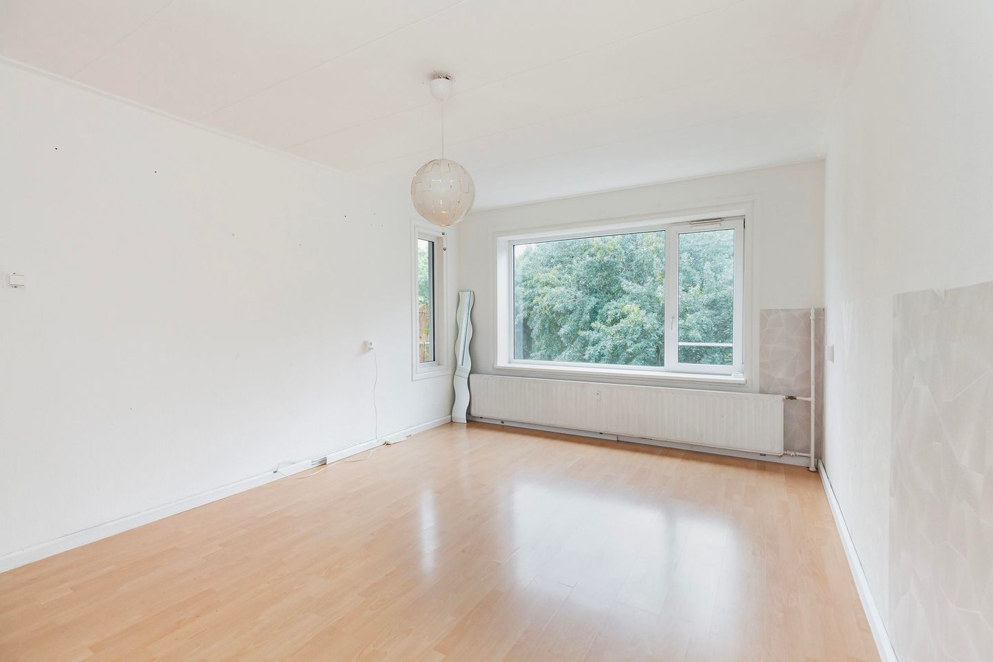 Foto 5 van Langeplaat 265