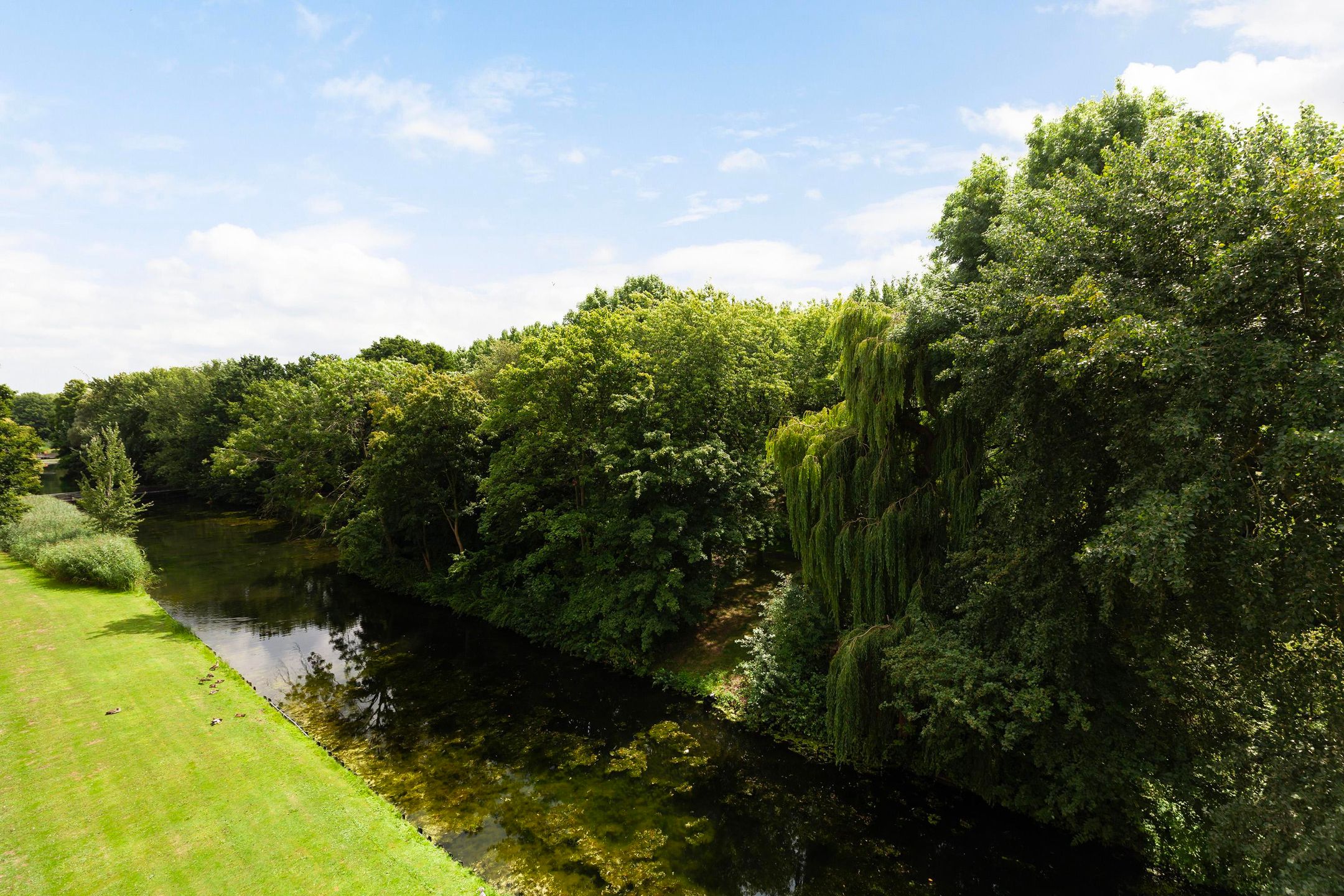 Foto 24 van Langeplaat 265