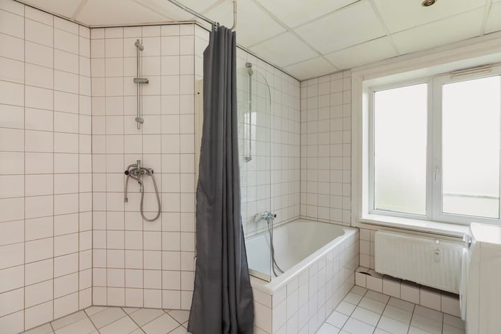 Foto 18 van Langeplaat 265