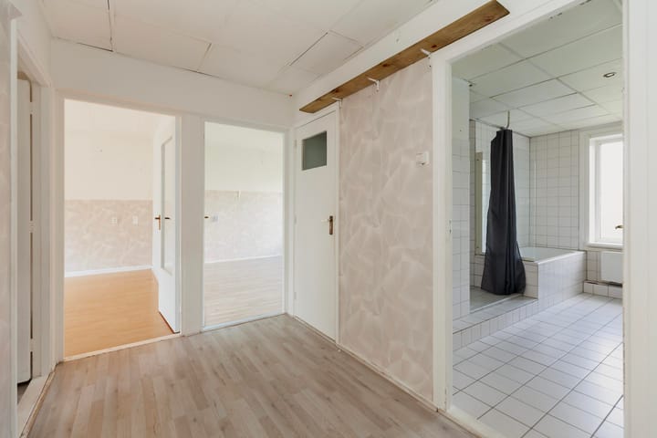 Foto 12 van Langeplaat 265