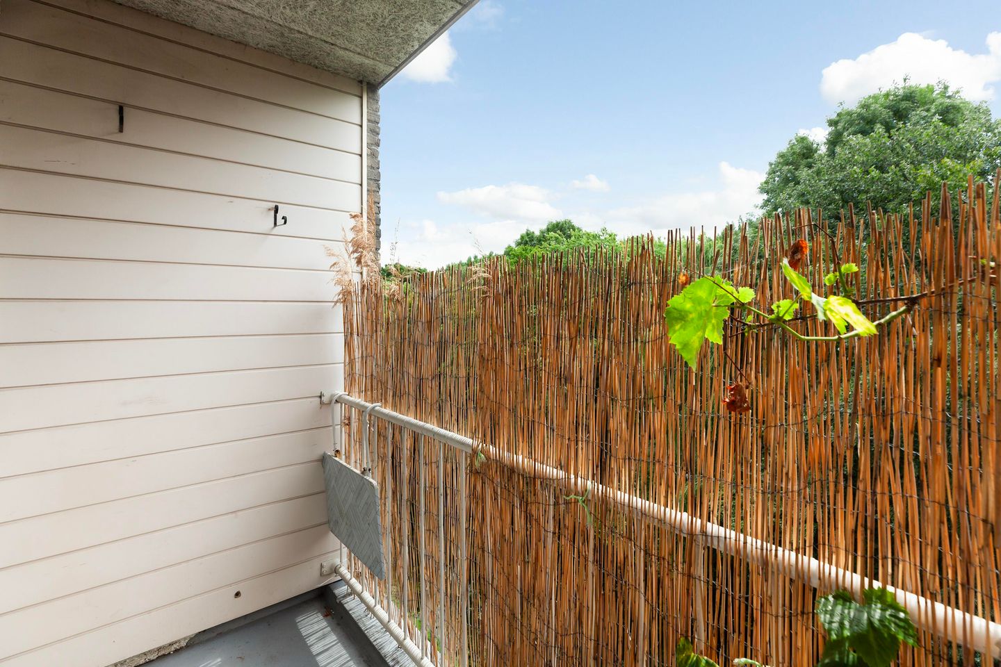 Foto 10 van Langeplaat 265