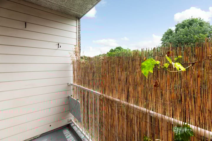 Foto 10 van Langeplaat 265