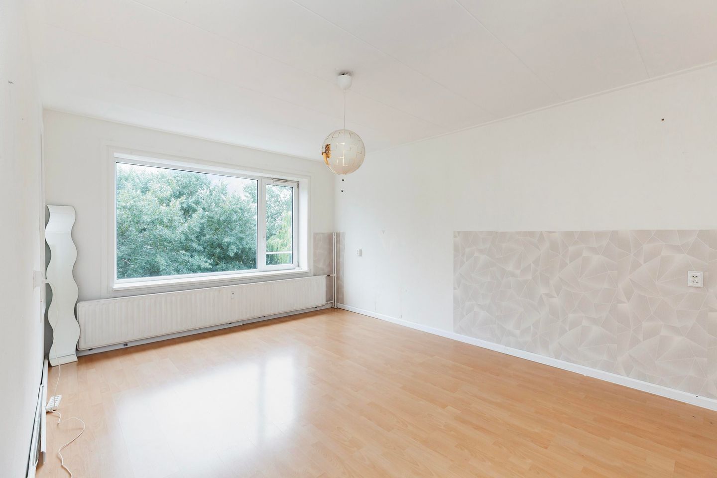 Foto 4 van Langeplaat 265