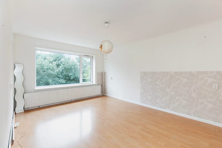 Foto 4 van Langeplaat 265