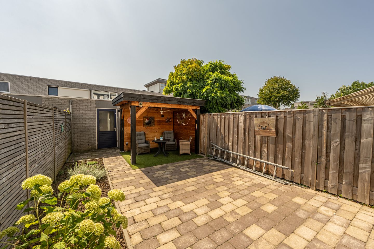 Foto 5 van Palissander 354