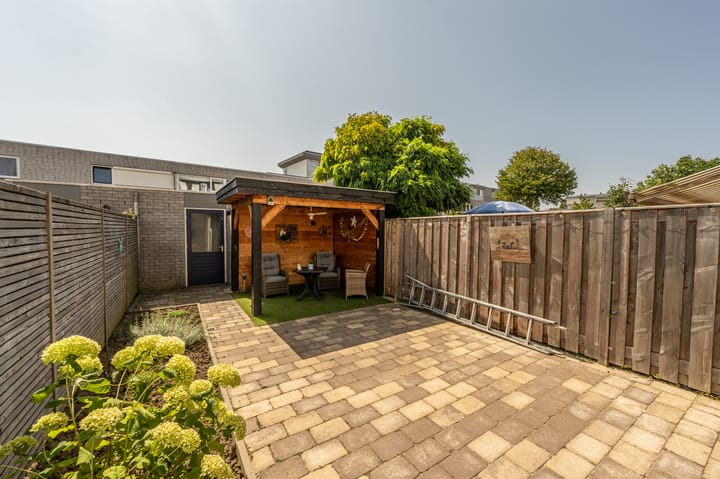 Foto 5 van Palissander 354