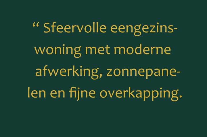 Foto 6 van Palissander 354