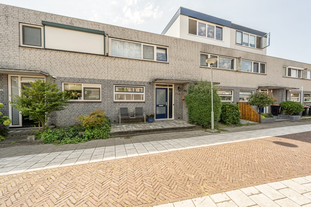 Foto 7 van Palissander 354